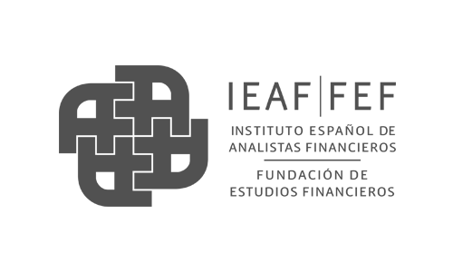 logo-ieaf-fef-gris(500x300)